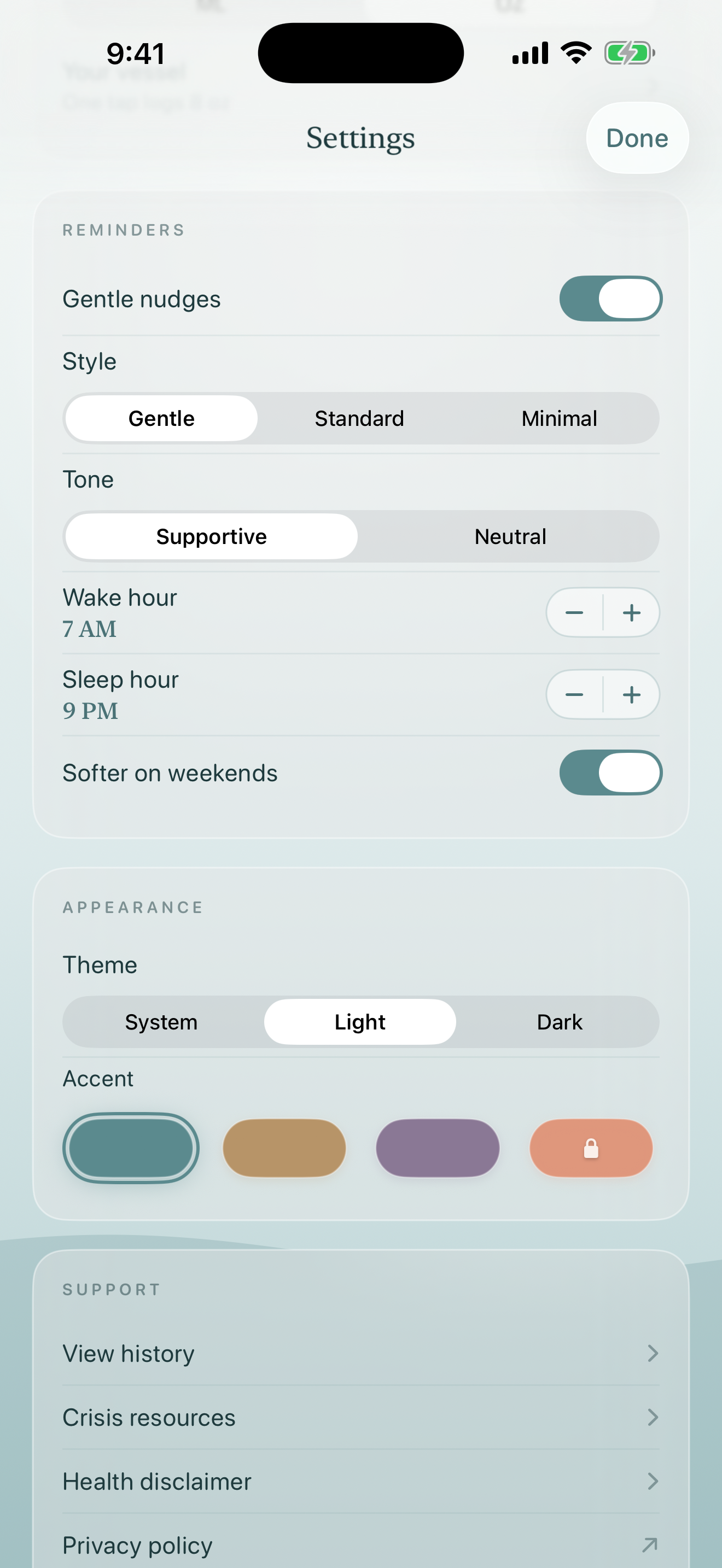 Reminder settings showing wake hour, sleep hour, gentle nudges, and accent themes
